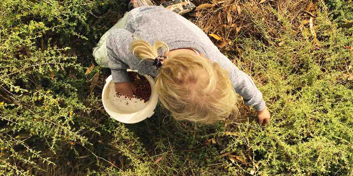 Ruby collecting native plants